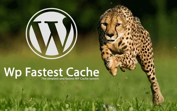 wp-fastest-cache.webp